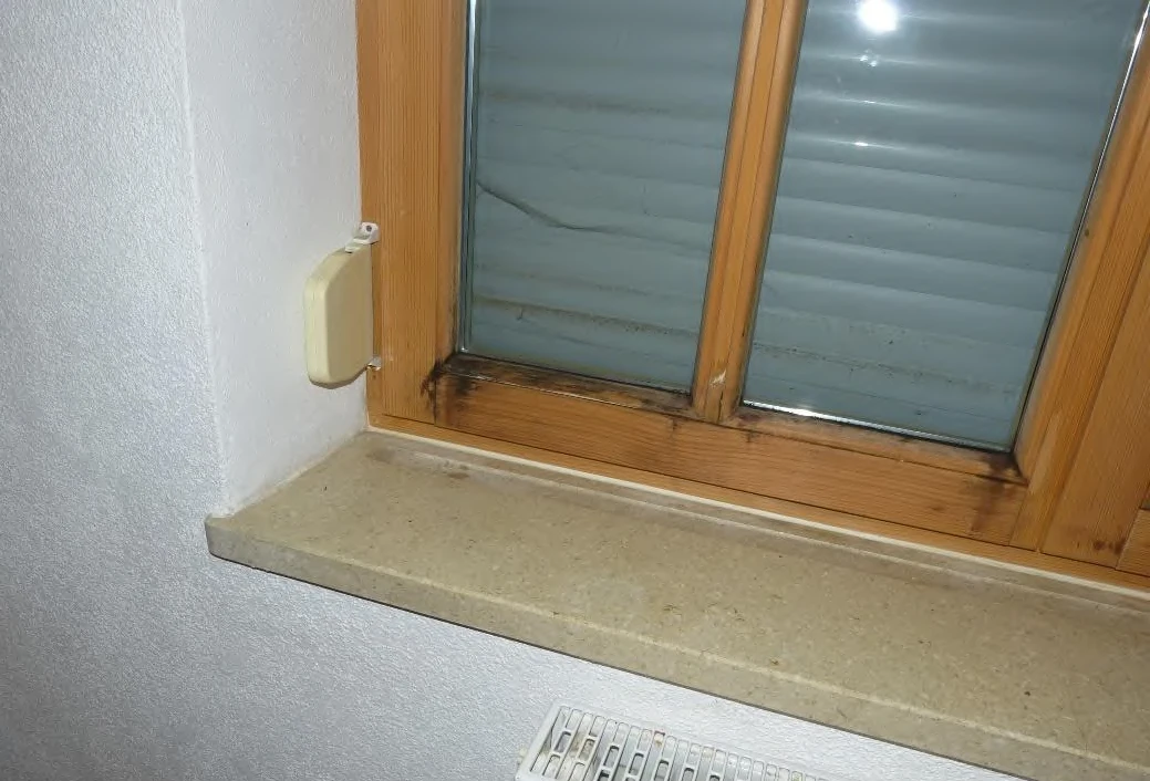 Zweifamilienhaus in Mauth — Bild 2