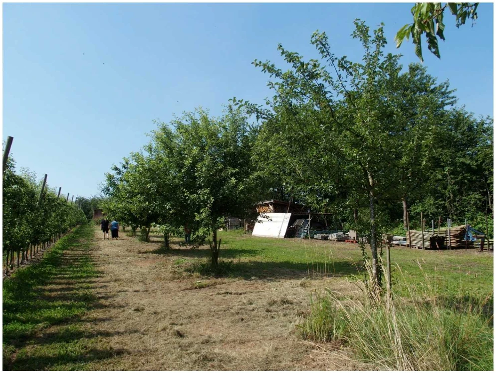 Sonstiges in Hofheim — Bild 2