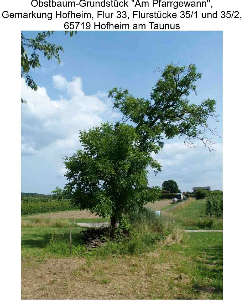 Sonstiges in Hofheim — Bild 3