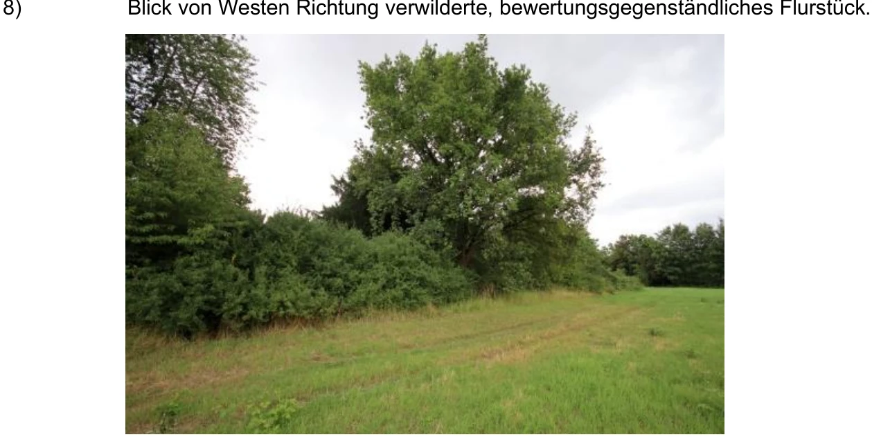 land- und forstwirtschaftlich genutztes Grundstück in Karben — Bild 3