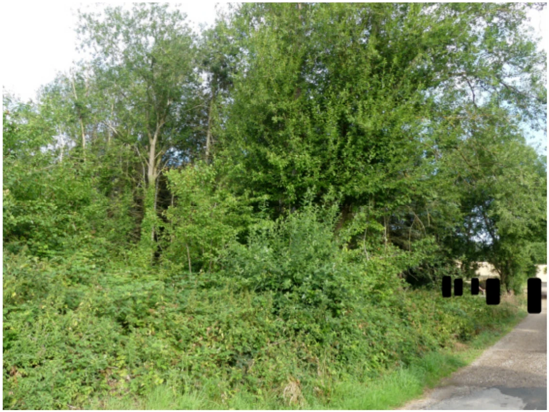 unbebautes Grundstück, forstwirtschaftlich genutztes Grundstück in Mechernich — Bild 2