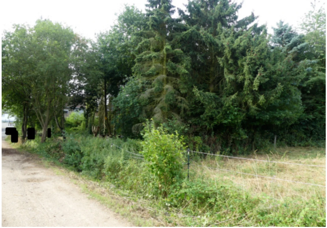 unbebautes Grundstück, forstwirtschaftlich genutztes Grundstück in Mechernich — Bild 3