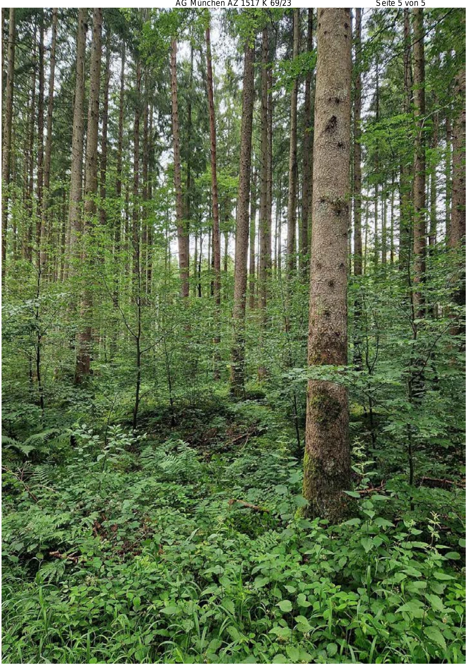 land- und forstwirtschaftlich genutztes Grundstück in Sauerlach — Bild 2