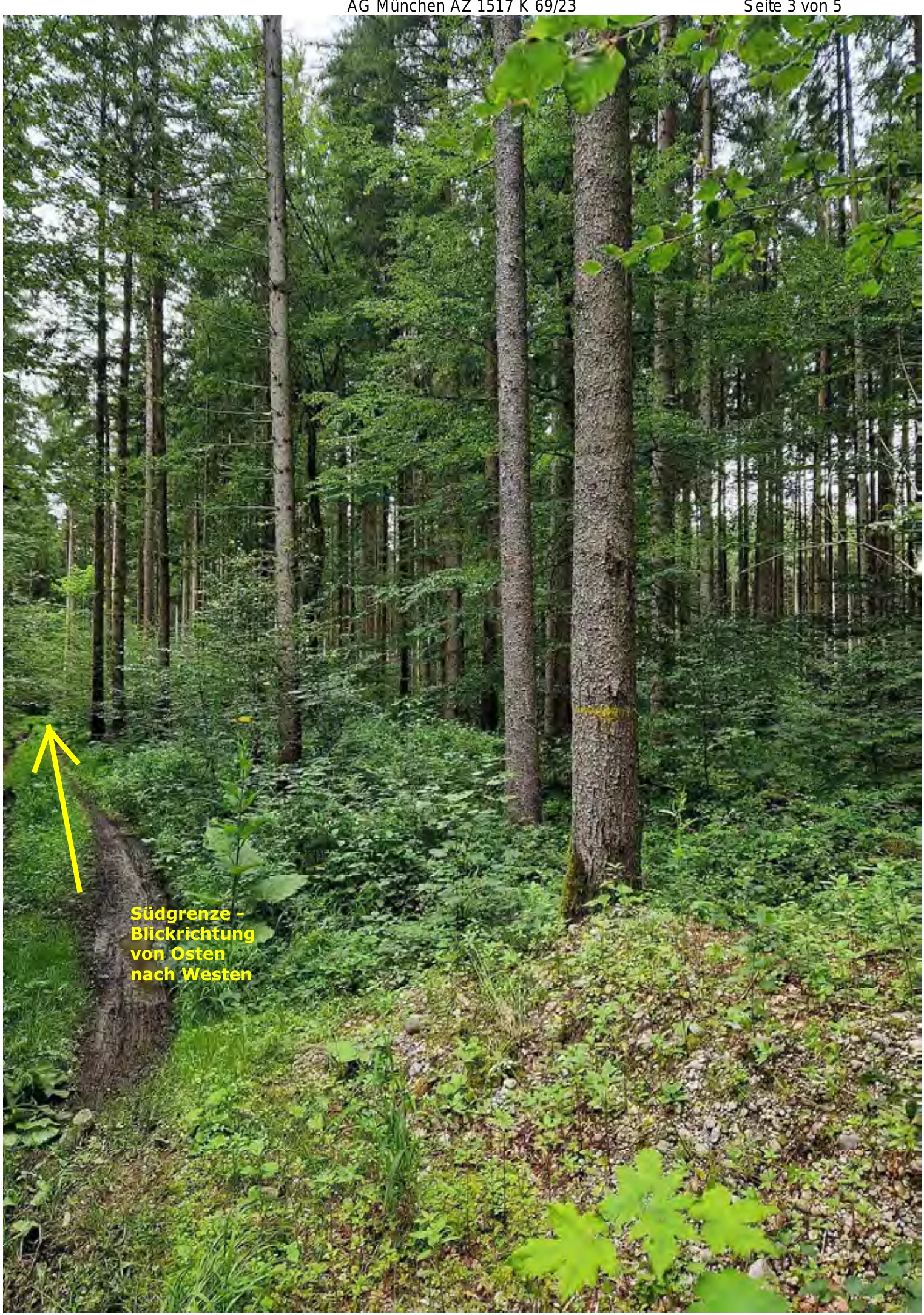 land- und forstwirtschaftlich genutztes Grundstück in Sauerlach — Bild 3