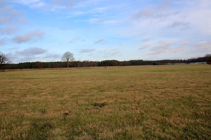 Grünland in Grabow OT Winkelmoor — Bild 2