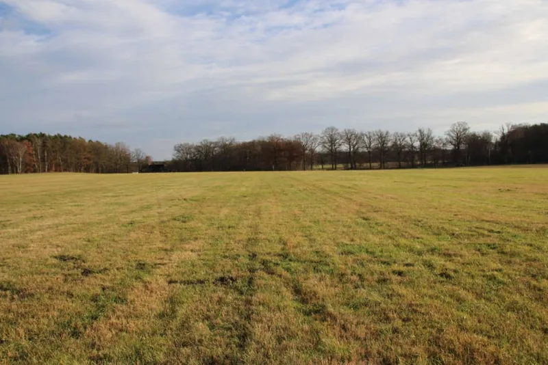 Grünland in Grabow OT Winkelmoor