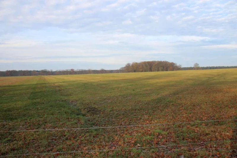 Grünland in Grabow OT Winkelmoor — Bild 2