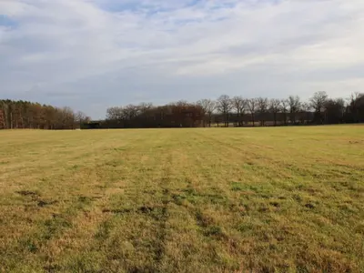 Grünland in Grabow OT Winkelmoor