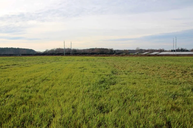 Ackerfläche in Ludwigslust OT Niendorf/Weselsdorf