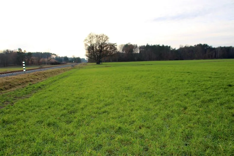 Ackerland in Groß Laasch