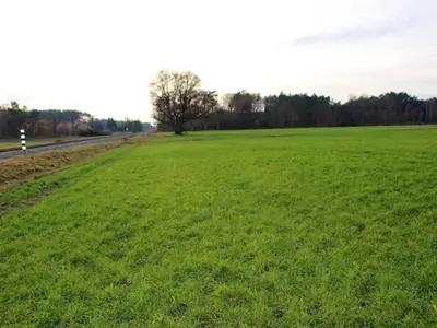 Ackerland in Groß Laasch