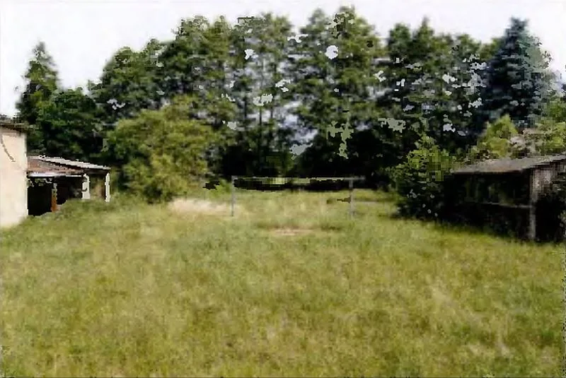 Einfamilienhaus mit Nebengebäuden in Ziegendorf — Bild 3
