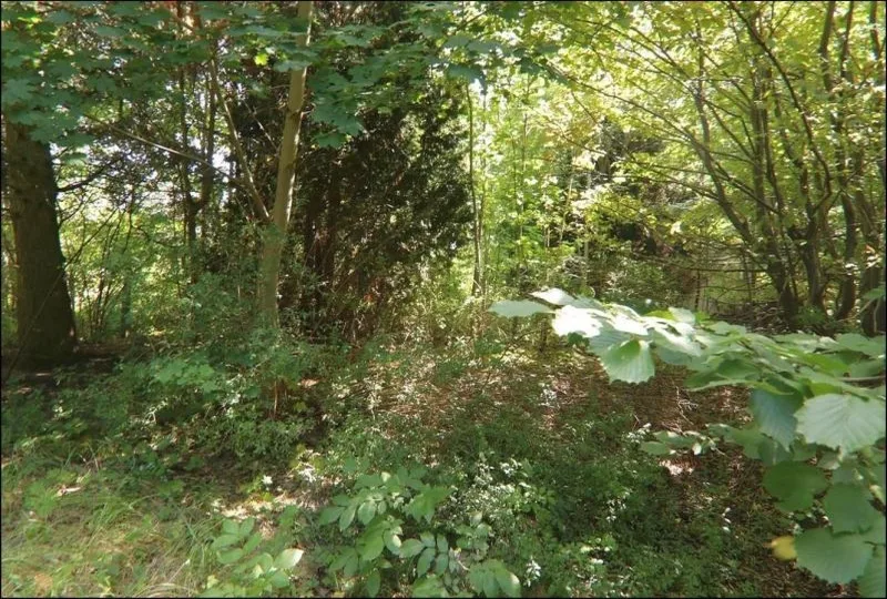 Grundstück mit Garage (Gebäude unsaniert bis ruinös) in Doberlug — Bild 2