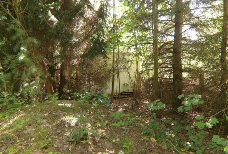 Grundstück mit Garage (Gebäude unsaniert bis ruinös) in Doberlug — Bild 3