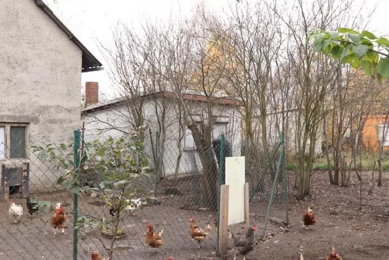 Grundstück mit Gebäudeeigentum in Doberlug