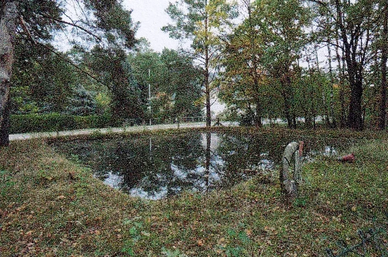 Verwilderte Freifläche mit baufälliger Doppelgarage in Doberlug — Bild 3