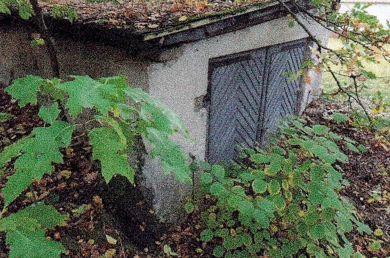 Verwilderte Freifläche mit baufälliger Doppelgarage in Doberlug — Bild 2