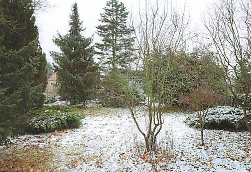 Unbebautes Grundstück (Zufahrt zu Fremdgrundstück) in Crinitz