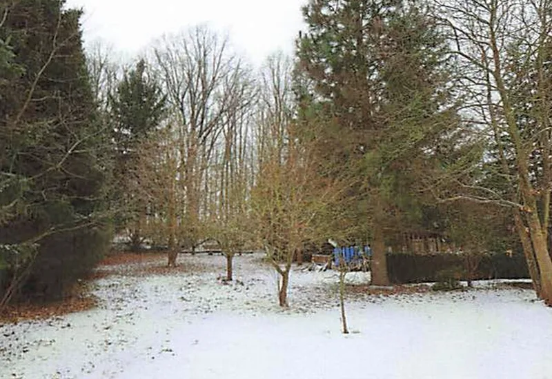 Unbebautes Grundstück (Zufahrt zu Fremdgrundstück) in Crinitz — Bild 3