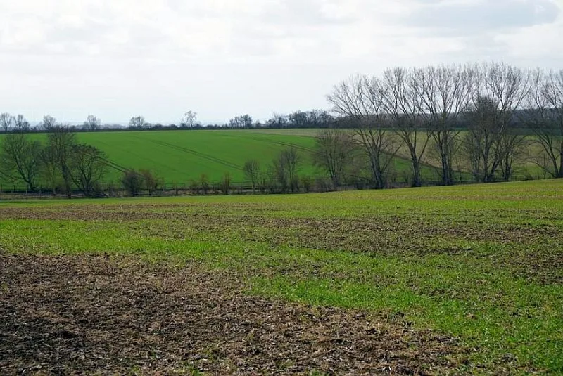 Landwirtschaftsfläche in Wanzleben