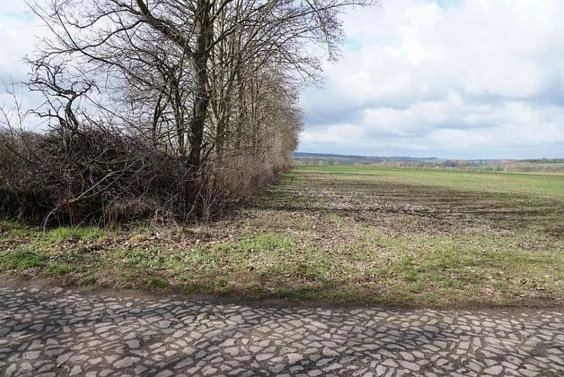 Landwirtschaftsfläche in Wanzleben — Bild 2