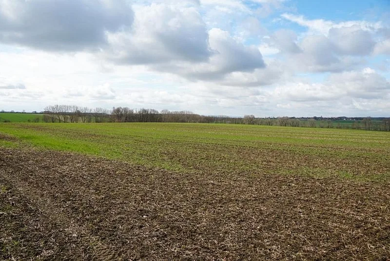 Landwirtschaftsfläche in Wanzleben — Bild 3
