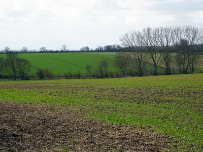 Landwirtschaftsfläche in Wanzleben