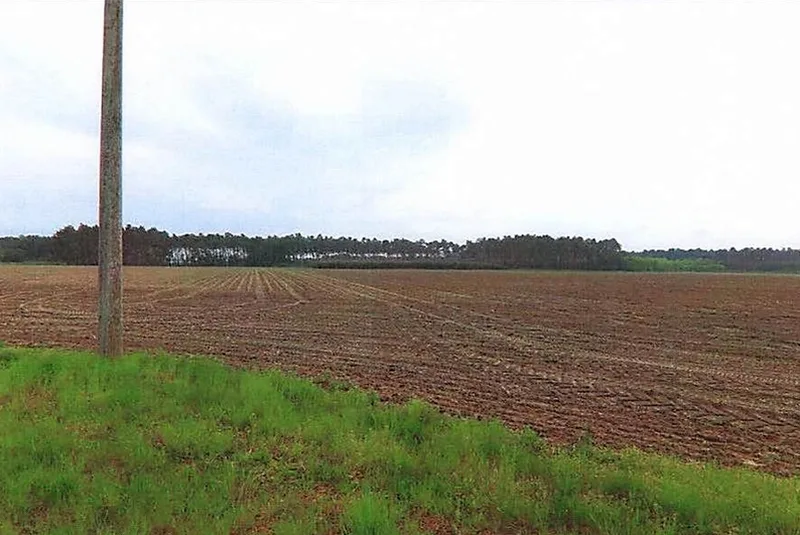 Land-/Forstwirtschaftsflächen und Gartenlandflächen in Schönewalde