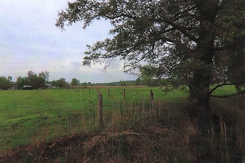 Land-/Forstwirtschaftsflächen und Gartenlandflächen in Schönewalde — Bild 3