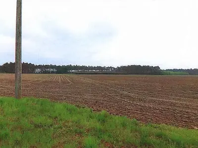 Land-/Forstwirtschaftsflächen und Gartenlandflächen in Schönewalde