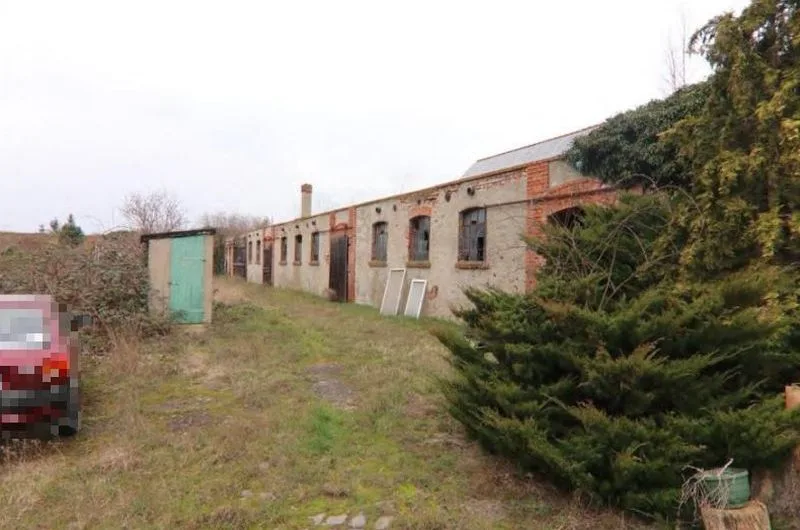 Wohngebäude mit ehem. Stallgebäude und Nebengebäude in Mühlberg/Elbe OT Koßdorf — Bild 3