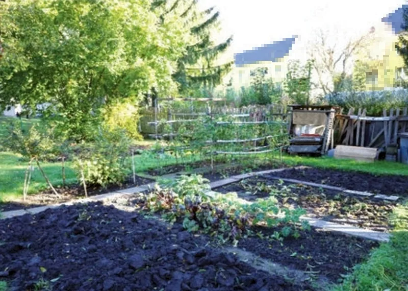 Gartengrundstück mit Gartenhaus in Gotha — Bild 2