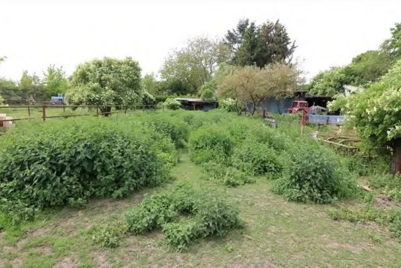 Teilweise bebaute Grundstücke in Bad Lauchstädt — Bild 3