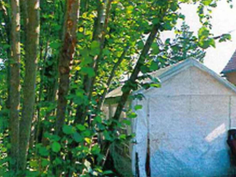 Mit einer Gartenlaube bebautes Grundstück in Blankenfelde — Bild 2