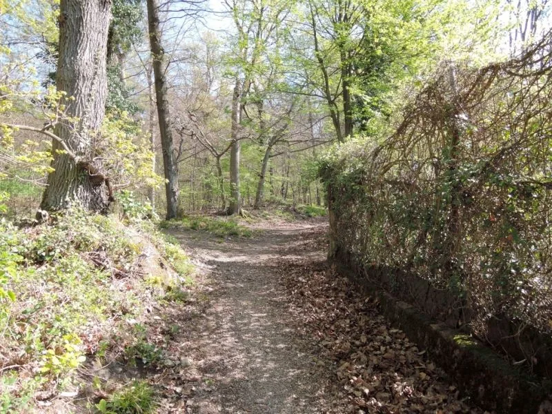 Landwirtschafts-/Waldfläche in Heidelberg, Handschuhsheim — Bild 2
