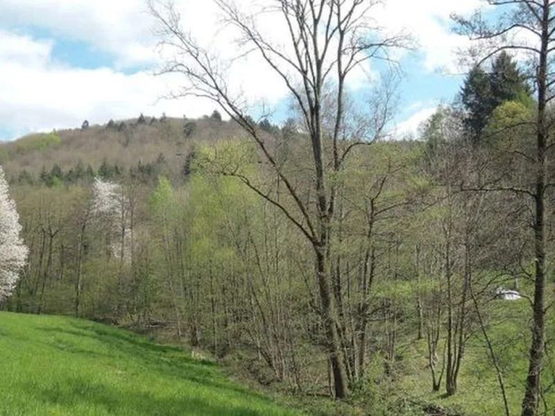 Landwirtschafts-/Waldfläche in Heidelberg, Handschuhsheim