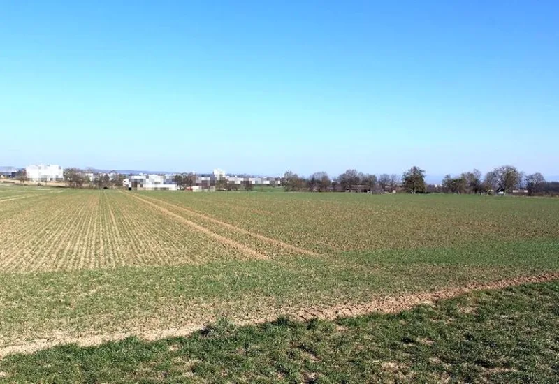Ackerland in Ostfildern