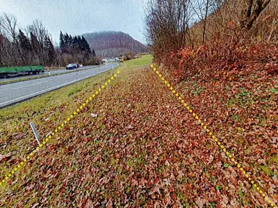 Wiese im Naturschutzgebiet in Geislingen/Steige