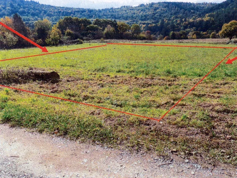 Landwirtschaftsfläche in Neckargemünd