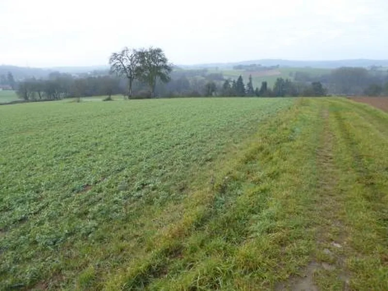 Ackerlandgrundstück in Wiesloch — Bild 2