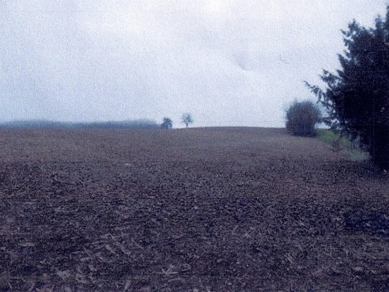 Landwirtschaftsflächen in Wiesloch — Bild 2