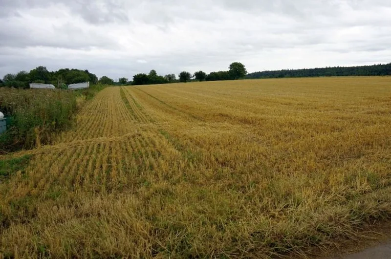 Landwirtschaftsfläche (Acker) in Denkendorf