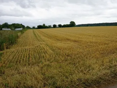 Landwirtschaftsfläche (Acker) in Denkendorf