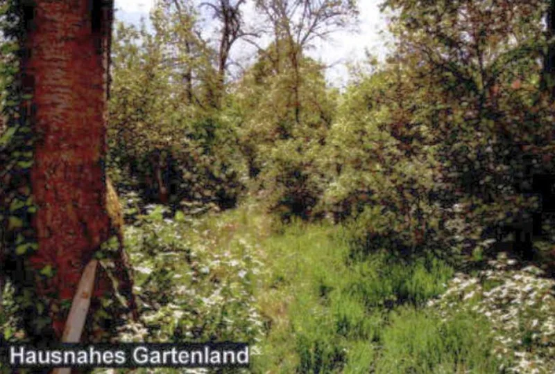 Einfamilienhaus mit Nebengebäude und Garage in Gerlingen — Bild 2