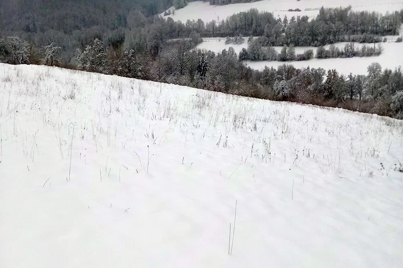 Landwirtschafts-/Waldfläche in Künzelsau — Bild 2
