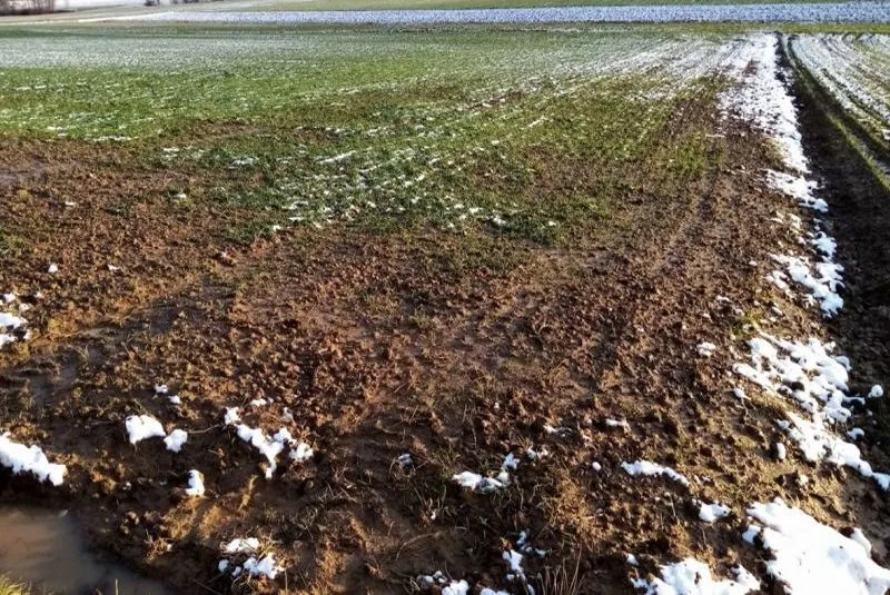 Grundstück, tlw. bebaut mit einsturzgefährdeter Scheune in Schwäbisch Hall, Tüngental — Bild 2