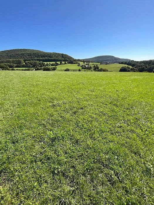 Grünland/Gartenfläche in Aalen