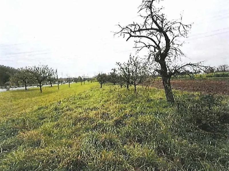 Grünfläche in Freiberg am Neckar — Bild 2