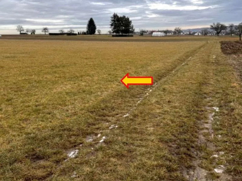 Landwirtschaftsflächen in Nufringen — Bild 3