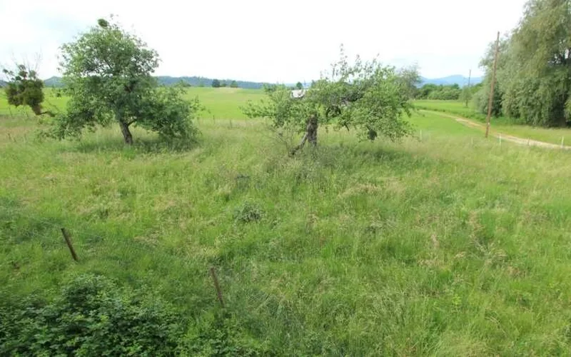 Ehemaliger Aussiedlerhof in Donzdorf
